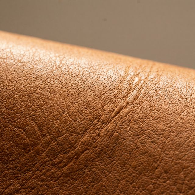 Premium Leather Texture